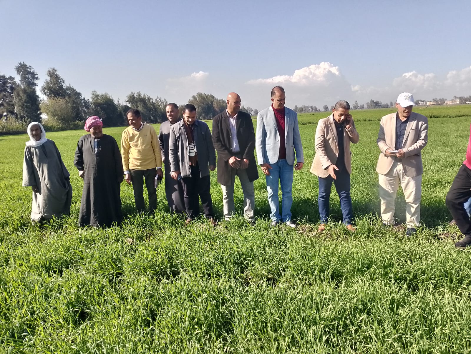 وزارة الزراعة