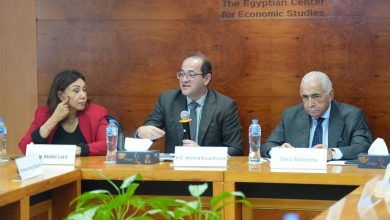 وزير المالية