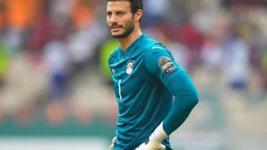 محمد الشناوي