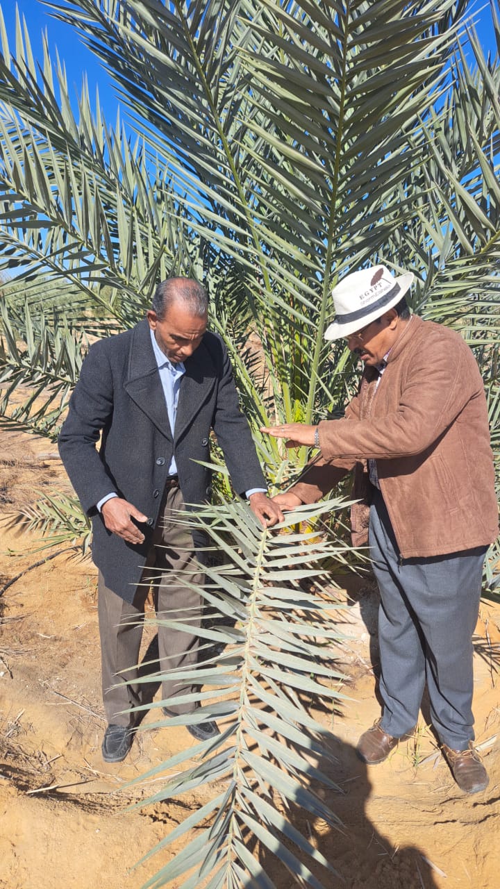 وزارة الزراعة: