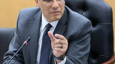 محافظ الجيزة