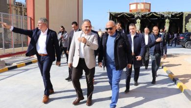 وزير الكهرباء