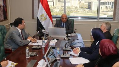 وزير الكهرباء