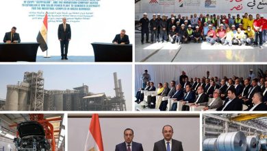 وزارة قطاع الأعمال العام