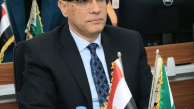 محافظ الجيزة