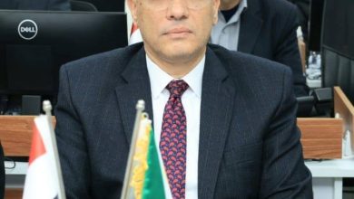 محافظ الجيزة