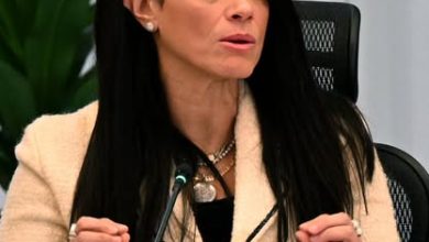 وزيرة التخطيط