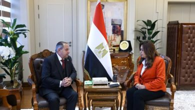 وزيرة التنمية 