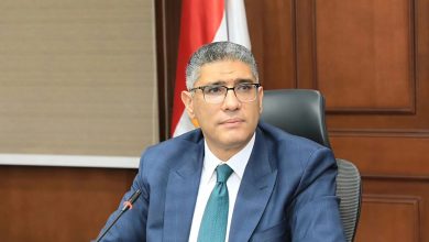 محافظ الجيزة