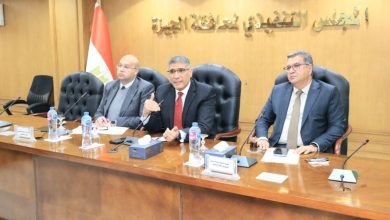 محافظ الجيزة