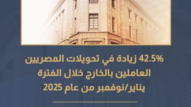 Egyptian Remittances