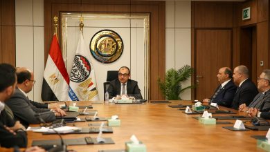 وزير قطاع الأعمال