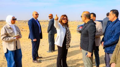 وزيرة التنمية