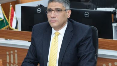 محافظ الجيزة