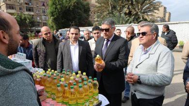 محافظ الجيزة