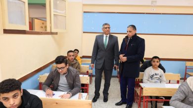 محافظ الجيزة