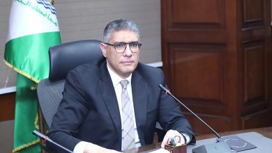 محافظ الجيزة