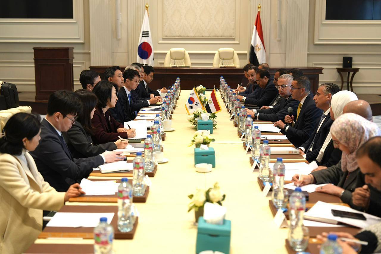 مصر وكوريا الجنوبية