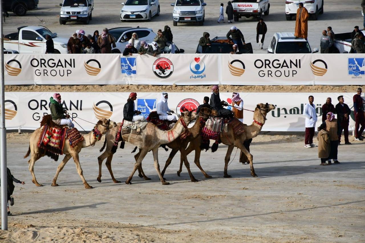 وزير الشباب والرياضة