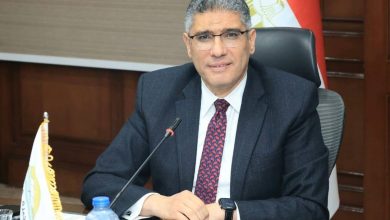 محافظ الجيزة