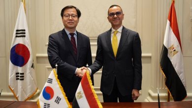 مصر وكوريا الجنوبية