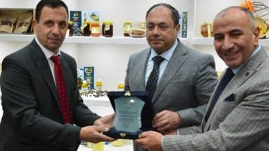 رئيس هيئة تنمية الصعيد