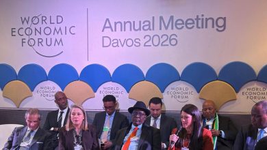 وزيرة التخطيط