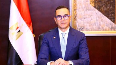 وزير الاستثمار