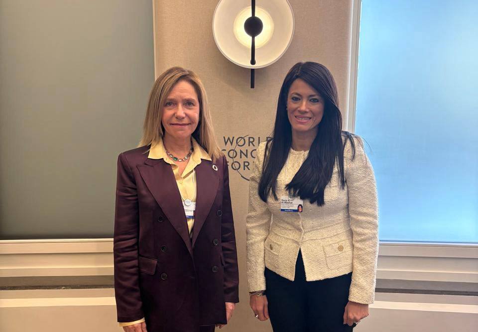 وزيرة التخطيط