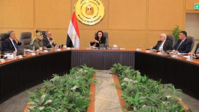 وزيرة التضامن