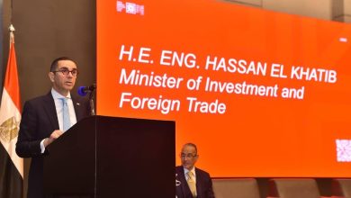 وزير الاستثمار