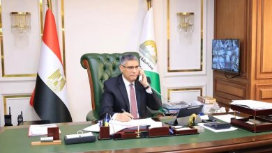 محافظ الجيزة