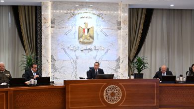 مجلس الوزراء