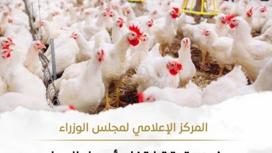 المركز الإعلامي لمجلس الوزراء