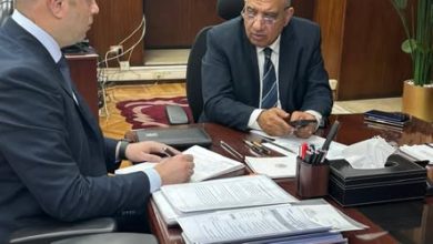 وزير الكهرباء 