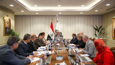 وزير قطاع الأعمال العام