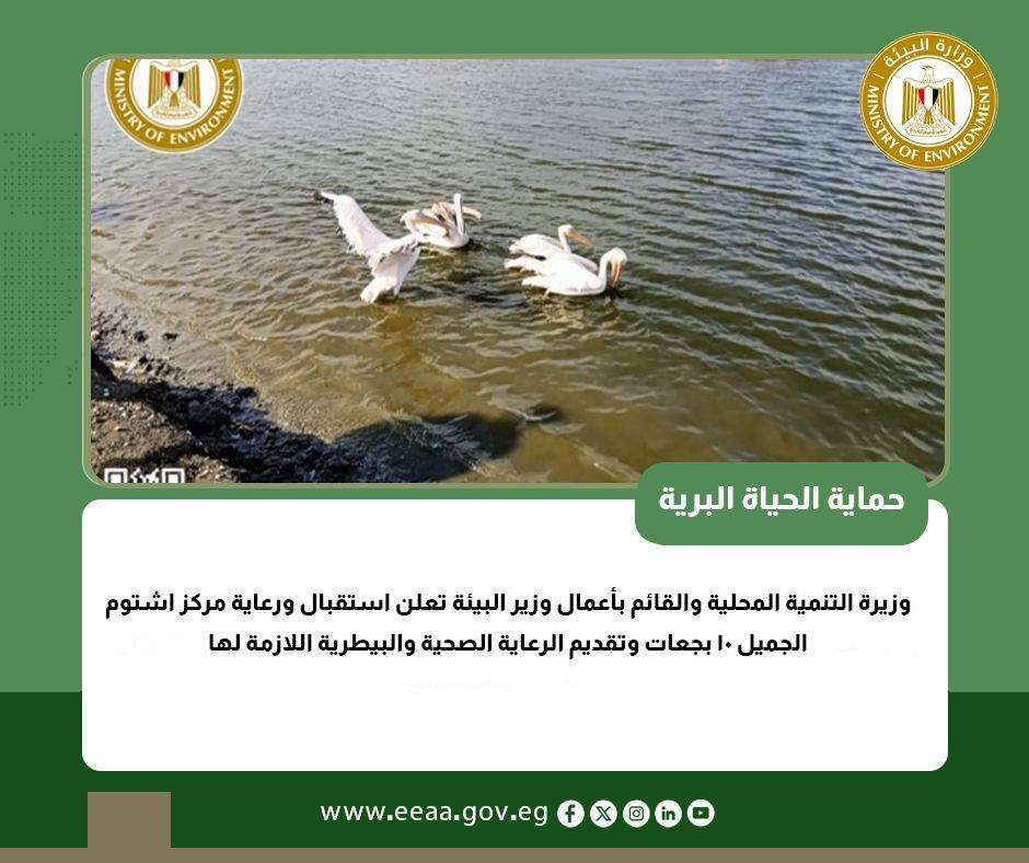 وزارة البيئة