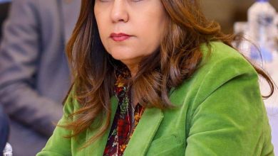 وزيرة التنمية المحلية