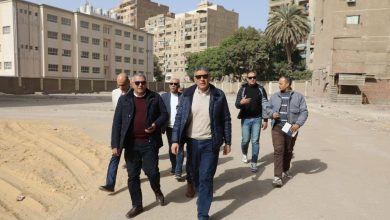 محافظ الجيزة