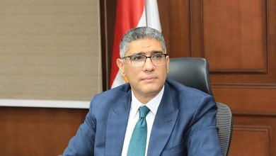 محافظ الجيزة