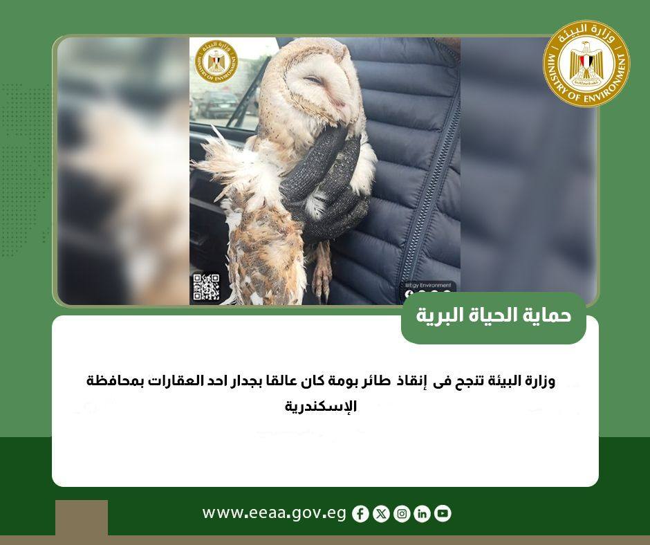 وزارة البيئة