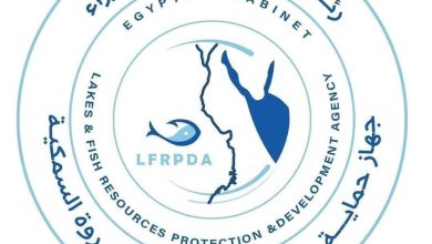 جهاز حماية وتنمية البحيرات