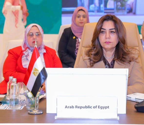 وزيرة التنمية المحلية