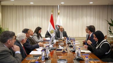 وزير قطاع الأعمال