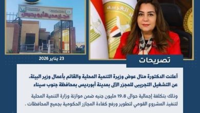 وزارة التنمية المحلية