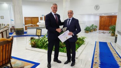 الشركة القابضة لمصر للطيران