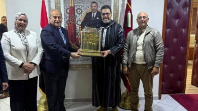 السفير المصري