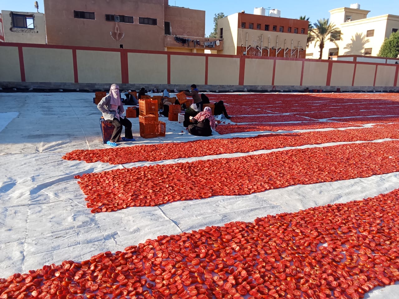 بوزارة الزراعة