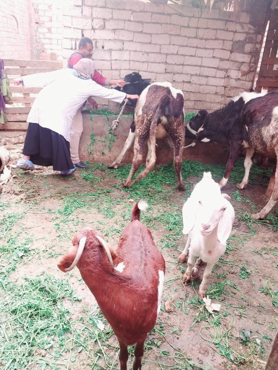 وزارة الزراعة