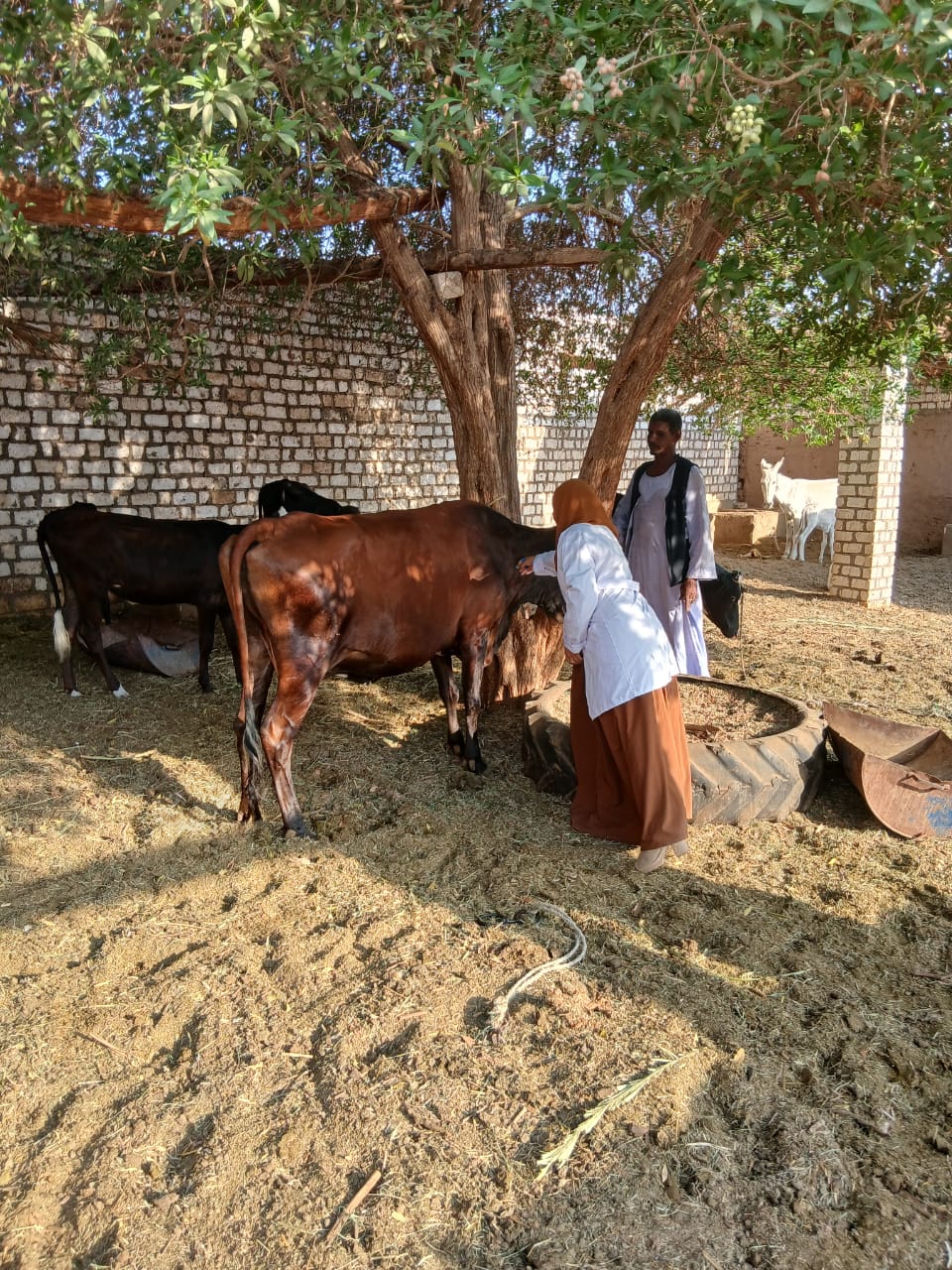 وزارة الزراعة